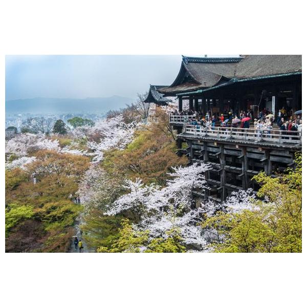 京都清水寺ポストカード舞台 Buyee Buyee Japanese Proxy Service Buy From Japan Bot Online