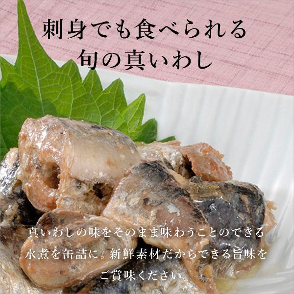 送料無料 木の屋石巻水産 いわし缶詰 醤油味付け6缶 味噌煮6缶 12缶セット Zfol0181 Piary Yahoo 店 通販 Yahoo ショッピング