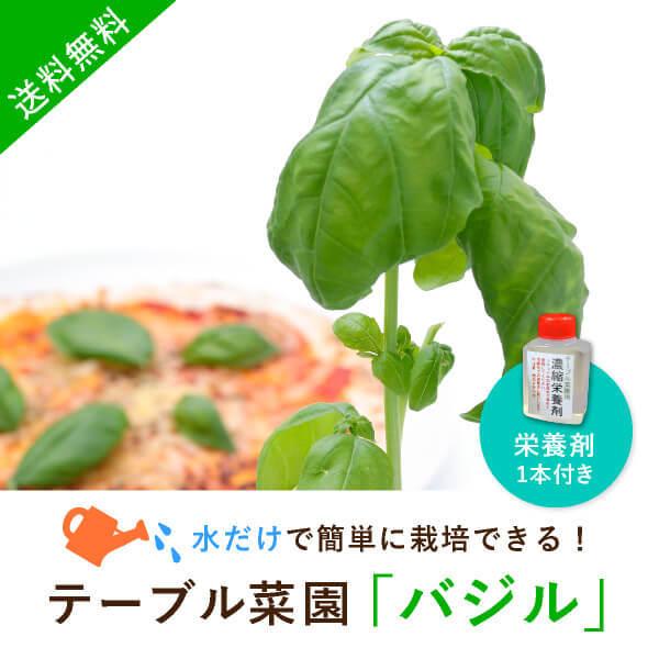 送料無料 テーブル菜園 バジル 栄養剤1本 Zgaol004 Piary Yahoo 店 通販 Yahoo ショッピング