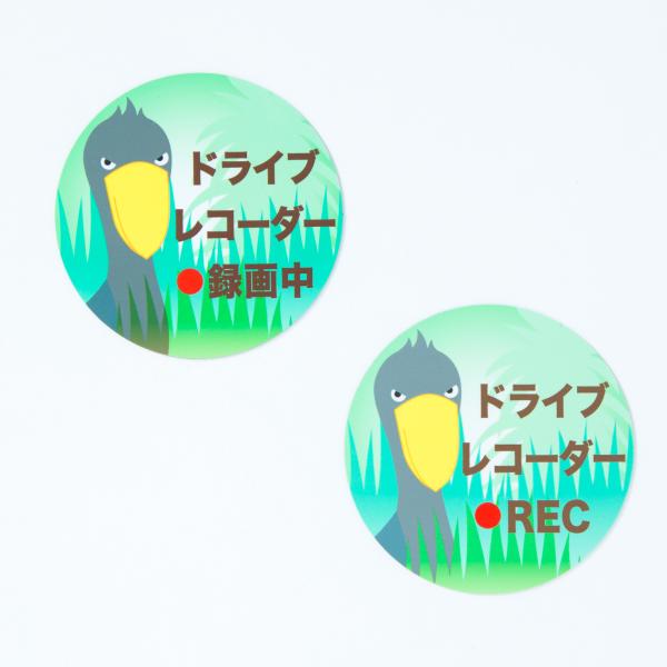 車用マグネットステッカー　ハシビロコウがするどい目でドライブレコーダー搭載＆録画(REC)をアピール
