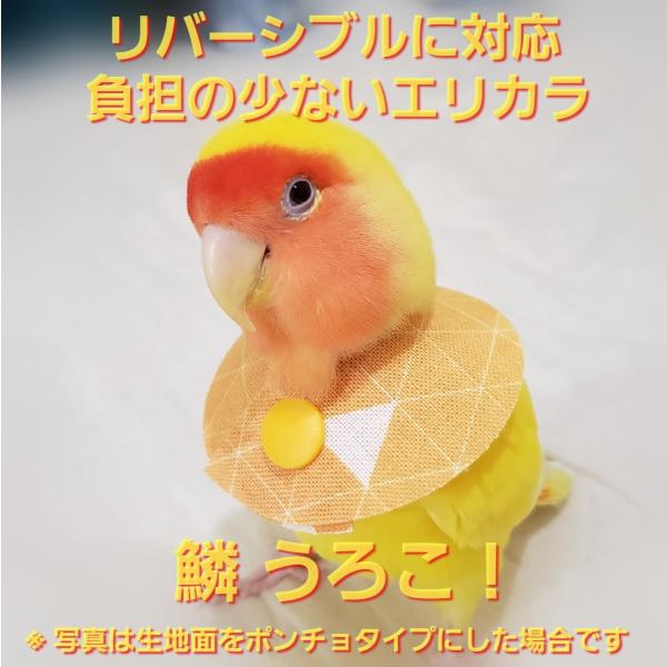 インコ エリザベスカラー(ポンチョタイプ)10枚・3サイズ・3色・3g 鳥 エリザベスカラー(ポンチョタイプ) 1枚・3サイズ・3色・3g