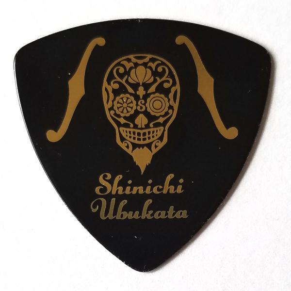 SCHECTER SCHECTER ピック 生形 真一 / Nothing's Carved In