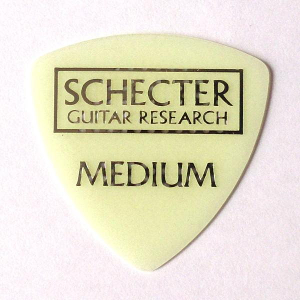 SCHECTER@sbN@~iX o[@gCAO@~
