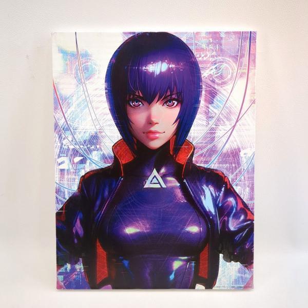 攻殻機動隊 草薙素子 キャンバスアート 攻殻機動隊 キャンバスアート 草薙素子 F6 中古 ◇2015 : ピックアップ