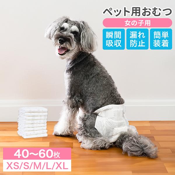 大切な愛犬の快適な毎日をサポートする、女の子向け犬用ペットオムツ（紙タイプ）が登場！メス用は女の子の体型にフィットするように設計されており、おしっこや生理時のトラブルをしっかりガード。お出かけや室内でのマナー対策はもちろん、マーキング防止や...