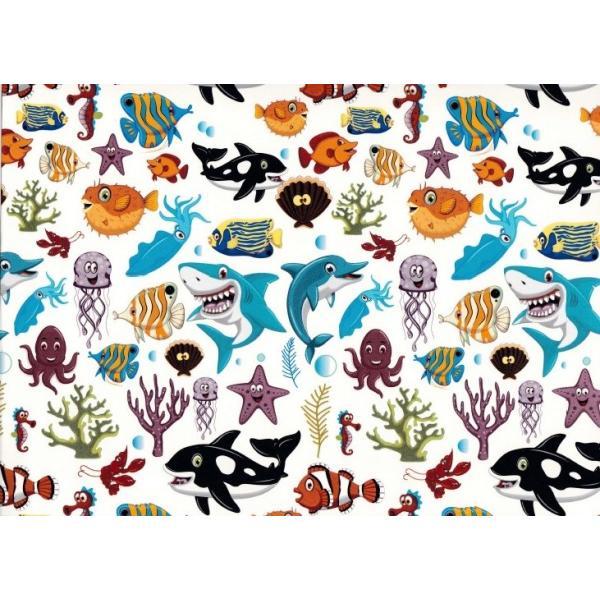 【海の子ページ】 picopicoland_d0049