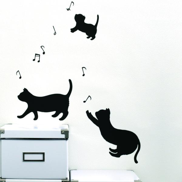 EH[XebJ[ L R \Ă͂ V[ ˂ L X LуlR тL L 