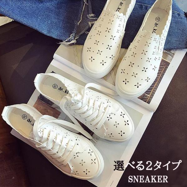 Xj[J[ fB[X t [XAbv Xb| [Jbg  y r 