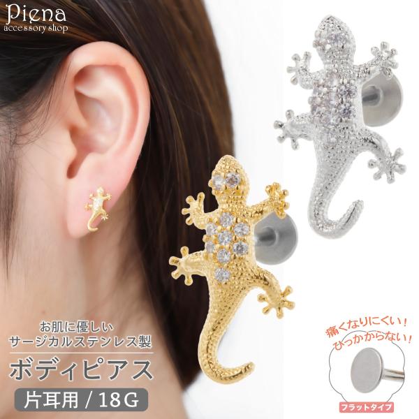 piena_ss-bpf-091