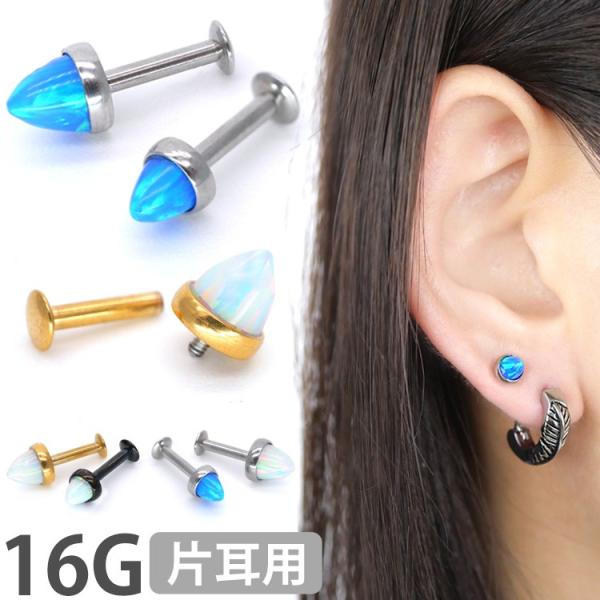 {fBsAX Ip[XpCNC^[iubg 16G {fB[sAX sAX t@[XgsAX ZJhsAX gKX wbNX