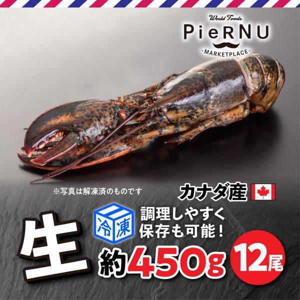 【冷凍】生オマール海老（カナダ産）　12尾(約450g×12）