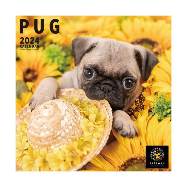 【残りわずか!!】【特典CL付】パグ PICTWAN (ピクトワン) カレンダー DOG 【L版】 2024年カレンダー 24CL-50021L