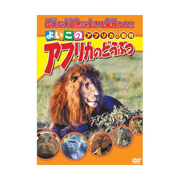 【特典CL付】新品 よいこのアフリカのどうぶつ （DVD） ABX-305