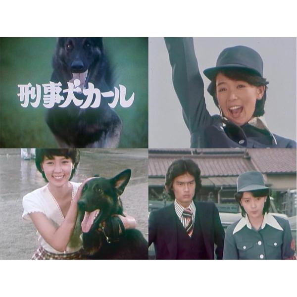 特典CL付】2026.07.31発売 刑事犬カール コレクターズDVD【昭和の名作