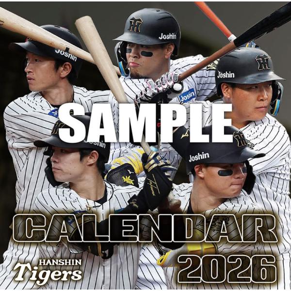 阪神タイガース DESCENTE Professional Tigers 72番 阪神タイガース DESCENTE Professional Tigers 72番 阪神