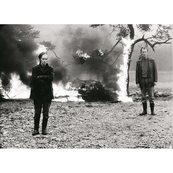 特典CL付】新品 恥 イングマール・ベルイマン / (Blu-ray) IVBD-1330