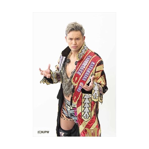 【特典CL付】新品 新日本プロレス総集編2017 (下半期) DVD / TCED-3809-TC