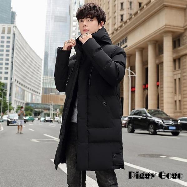 piggygogo_dd-1012-ahycoat15