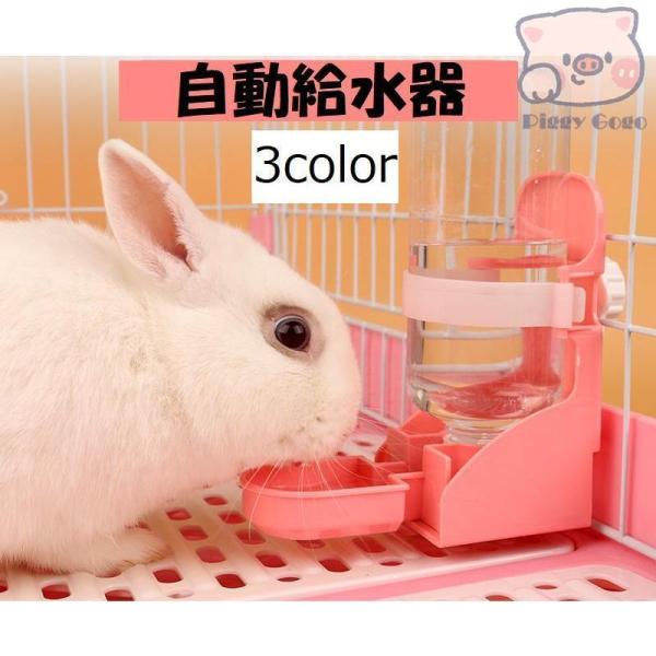 piggygogo_dd-709-cpet101