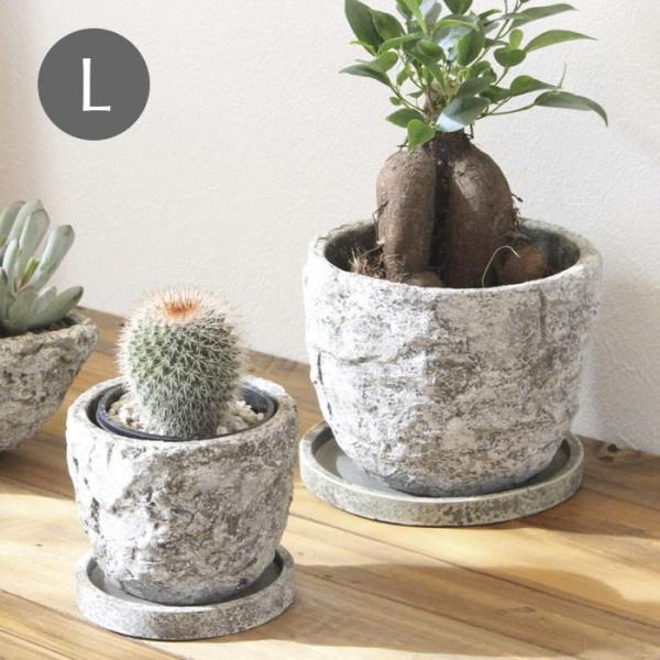 o Aؔ  v^[ K[fjO  |bg ꌊ 󂯎Mt Zg  CeA MbhXg[|bgL 1908 cY