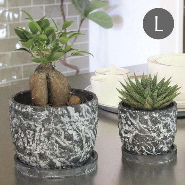 o Aؔ  v^[ K[fjO  |bg ꌊ 󂯎Mt Zg  CeA ubNXg[|bgL 1917 cY