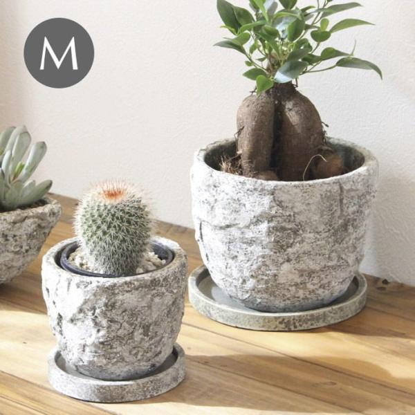 o Aؔ  v^[ K[fjO  |bg ꌊ 󂯎Mt Zg  CeA MbhXg[|bgM 1909 cY