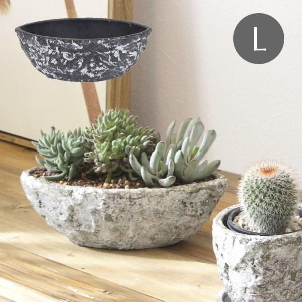 Aؔ  v^[ K[fjO  |bg ꌊ 󂯎Mt Zg CeA ubNXg[I[oL 1920 cY