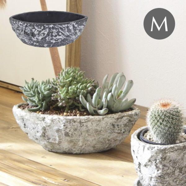 o Aؔ  v^[ K[fjO  |bg ꌊ 󂯎Mt Zg CeA ubNXg[I[oM 1921 cY