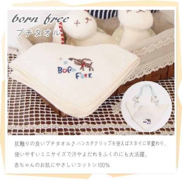 v`^I xr[ Ԃ j̎q ̎q 킢 ~j nJ` pC K[[  Rbg hJ oY j xr[Mtg  2712-0040 {