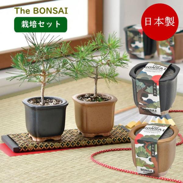 ●The BONSAI 栽培セット●ざらりとした風合いのある陶器で育てる黒松赤松の栽培セット。●鉢や土、種などが揃った栽培キットは園芸初心者でも気軽に栽培に挑戦できます。●種から芽が出た驚きや日に日に大きくなる芽に喜びを感じます。●自分で種...