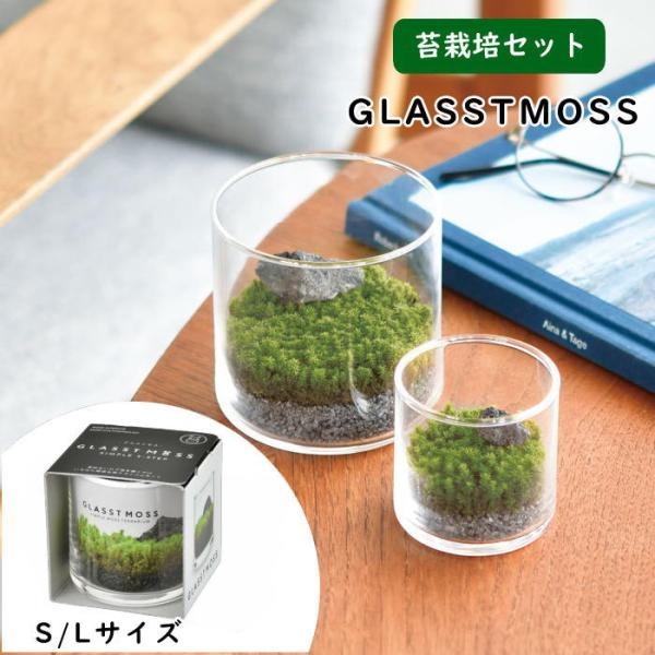 ●GLASSTMOSS グラストモス S/L●手軽にコケテラリウムをスタートでき、つくるスナゴケを育てる苔鑑賞キットです。●器の中を自由にイメージしながら世界にひとつだけの苔の庭園を作ることができ園芸初心者でも気軽に栽培に挑戦できます。●水...