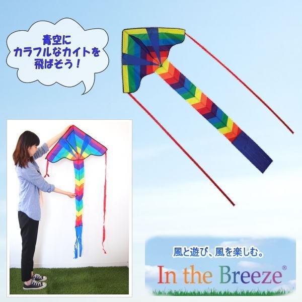 ●レインボーアローカイト　Fly-Hi●持ち運びに便利な携帯バッグとハンドル付きの凧糸が付属するのでレジャーで手軽に楽しめます。●カラフルな色合いのファブリックの尾が風になびく姿がキレイです。※たこあげをする時は,周りに電線や建物がなく人通...