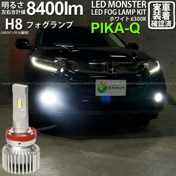 pika-q_15-a-1-66001-2610 pika-q_15-a-1-66001-2610
