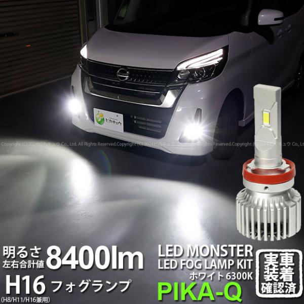 pika-q_15-a-1-66001-829 pika-q_15-a-1-66001-829