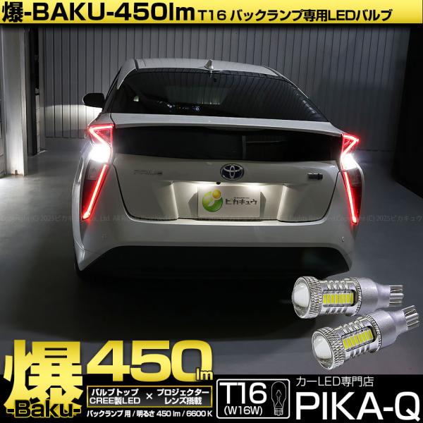 16.kubutsuki様 pika-q_20322-19