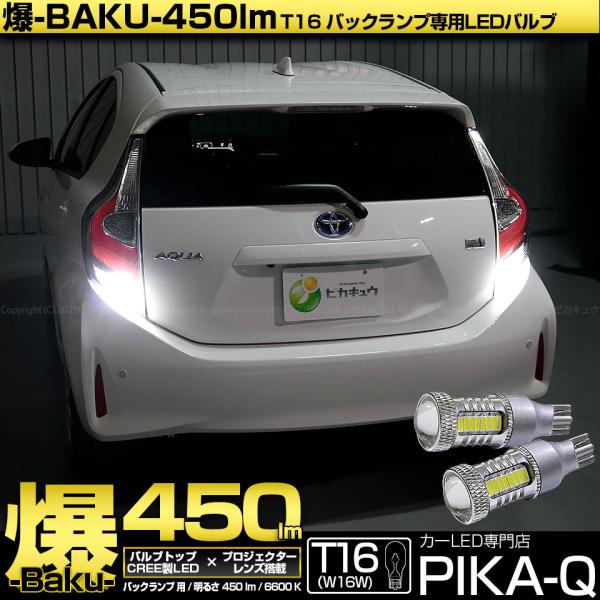pika-q_20322-35
