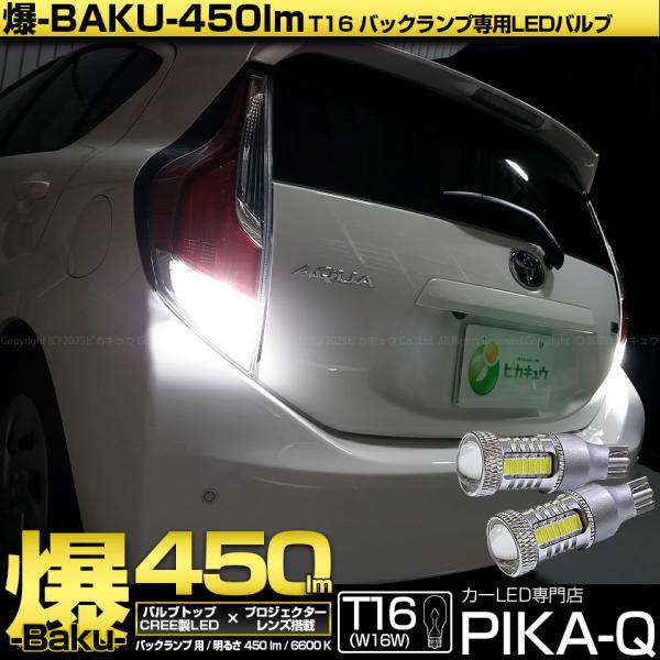 pika-q_20322-36