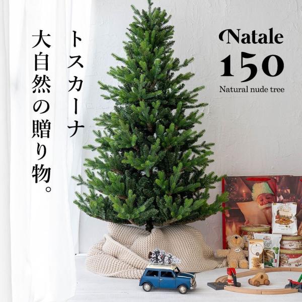 クリスマスツリー150の通販 価格比較 価格 Com