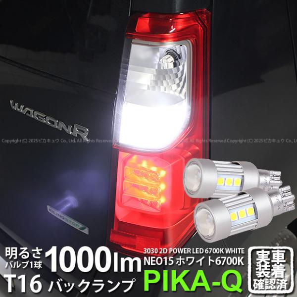 pika-q_41-a-1-66082-2316