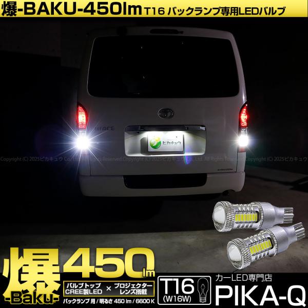 pika-q_5-a-2-20322-1191