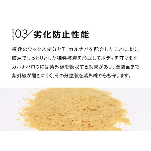 pika2rain_top-carna_4_d_20240813145743