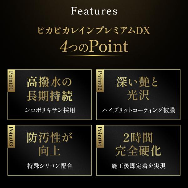 pika2rain_top-premium_5_d_20260605211347