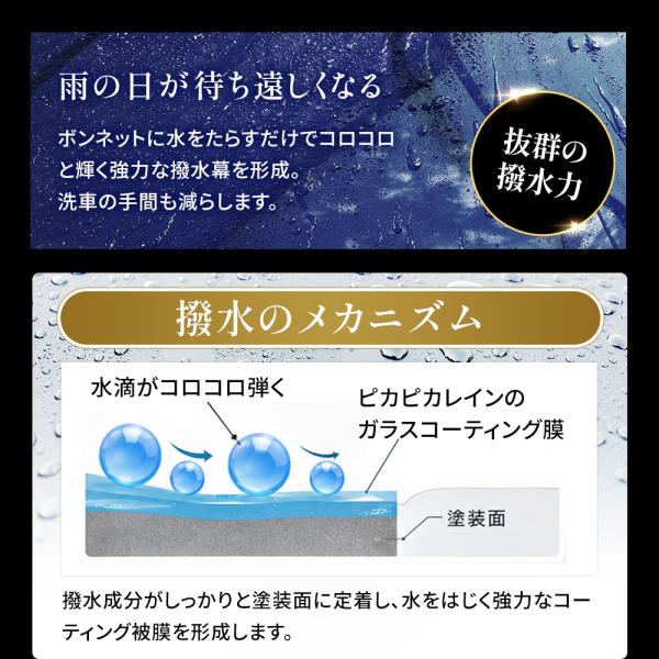 pika2rain_top-premium_5_d_20260924180605