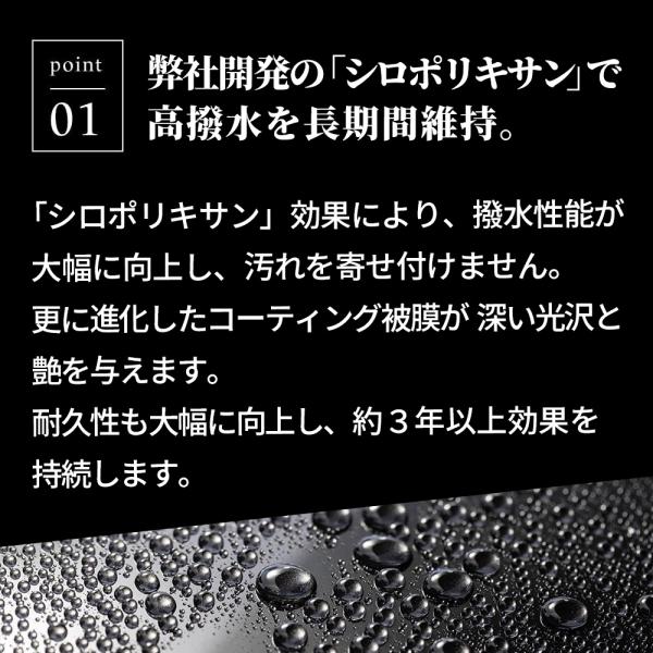 pika2rain_top-premium_8_d_20250826170028