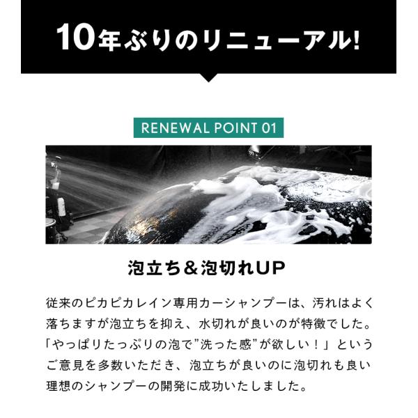 pika2rain_top-shamp_3_d_20240208125503