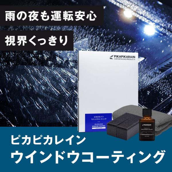 pika2rain_top-window-r_2_d_20240123203334