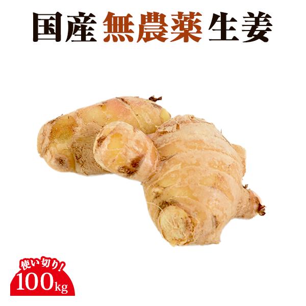 無農薬にんじんの生産者である長崎県の島原自然塾さんが土壌消毒・除草剤不使用の畑で栽培した国産無農薬ショウガです。季節により新生姜または、古根生姜となります。古根生姜とは露地栽培で育てた生姜で、新生姜よりも辛みがあり、熟成されるにつれ乾き辛み...