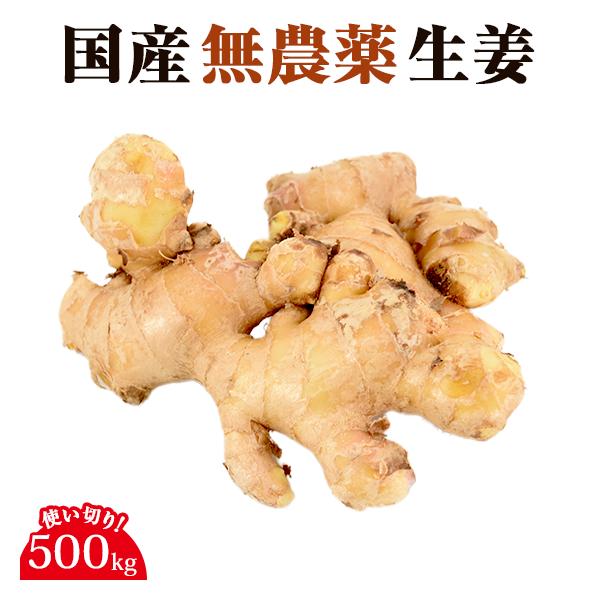 無農薬にんじんの生産者である長崎県の島原自然塾さんが土壌消毒・除草剤不使用の畑で栽培した国産無農薬ショウガです。季節により新生姜または、古根生姜となります。古根生姜とは露地栽培で育てた生姜で、新生姜よりも辛みがあり、熟成されるにつれ乾き辛み...