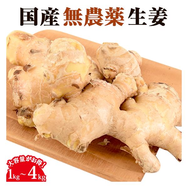 無農薬にんじんの生産者である長崎県の島原自然塾さんが土壌消毒・除草剤不使用の畑で栽培した国産無農薬ショウガです。季節により新生姜または、古根生姜となります。古根生姜とは露地栽培で育てた生姜で、新生姜よりも辛みがあり、熟成されるにつれ乾き辛み...