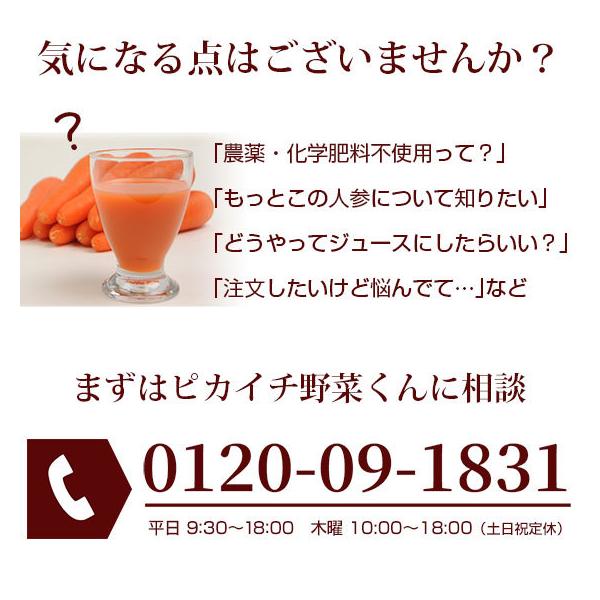 人参 にんじん ジュース用 人参ジュース にんじんジュース 国産 訳あり 栽培期間中農薬 化学肥料不使用栽培にんじん 13kg ゲルソン療法にも最適 Buyee Buyee Japanese Proxy Service Buy From Japan Bot Online